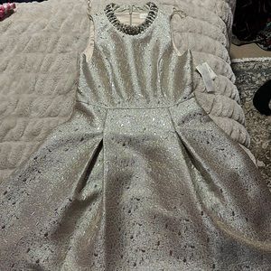 BRAND NEW DRESS- beautiful and perfect for a special occasion